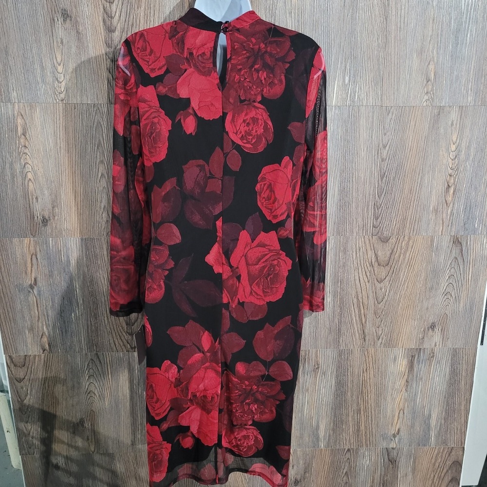 VTG Alexa B Nites Dark Romantic Dress Size 10 Sheer Mesh Roses Whimsigoth Lined - Picture 8 of 12